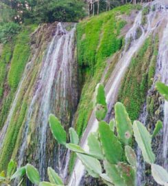 Paasi Ella Resort & Camp