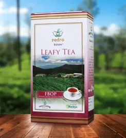 Kelani Valley Plantations PLC