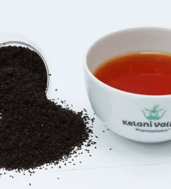 Kelani Valley Plantations PLC