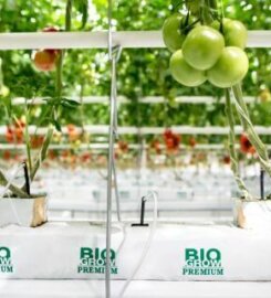 Biogrow Lanka Pvt Ltd