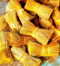 Bio Substrate (Pvt) Limited