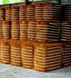 Bio Substrate (Pvt) Limited