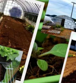 Bio Substrate (Pvt) Limited