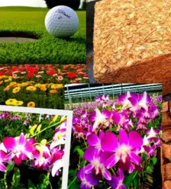 Bio Substrate (Pvt) Limited