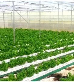 Bio Substrate (Pvt) Limited