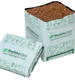 Marisha Coco Products (Pvt) Ltd